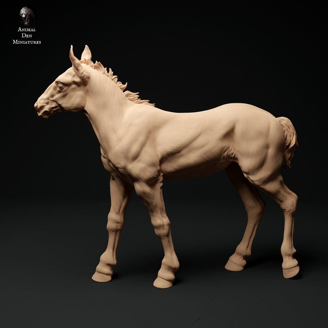 Suffolk Punch foals - white resin - ready to prep / paint - many options