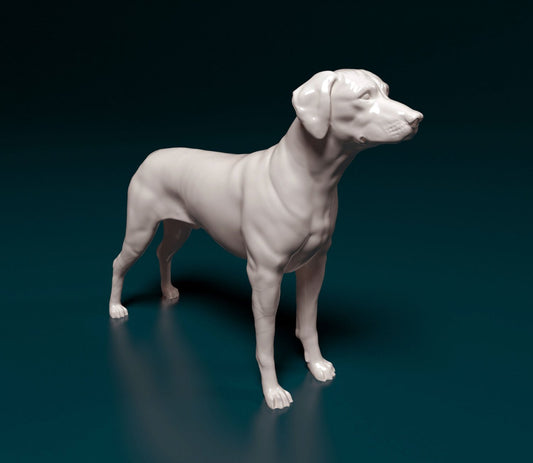 Rhodesian ridgeback dog artist resin - white resin ready to prep / paint ALL SCALES