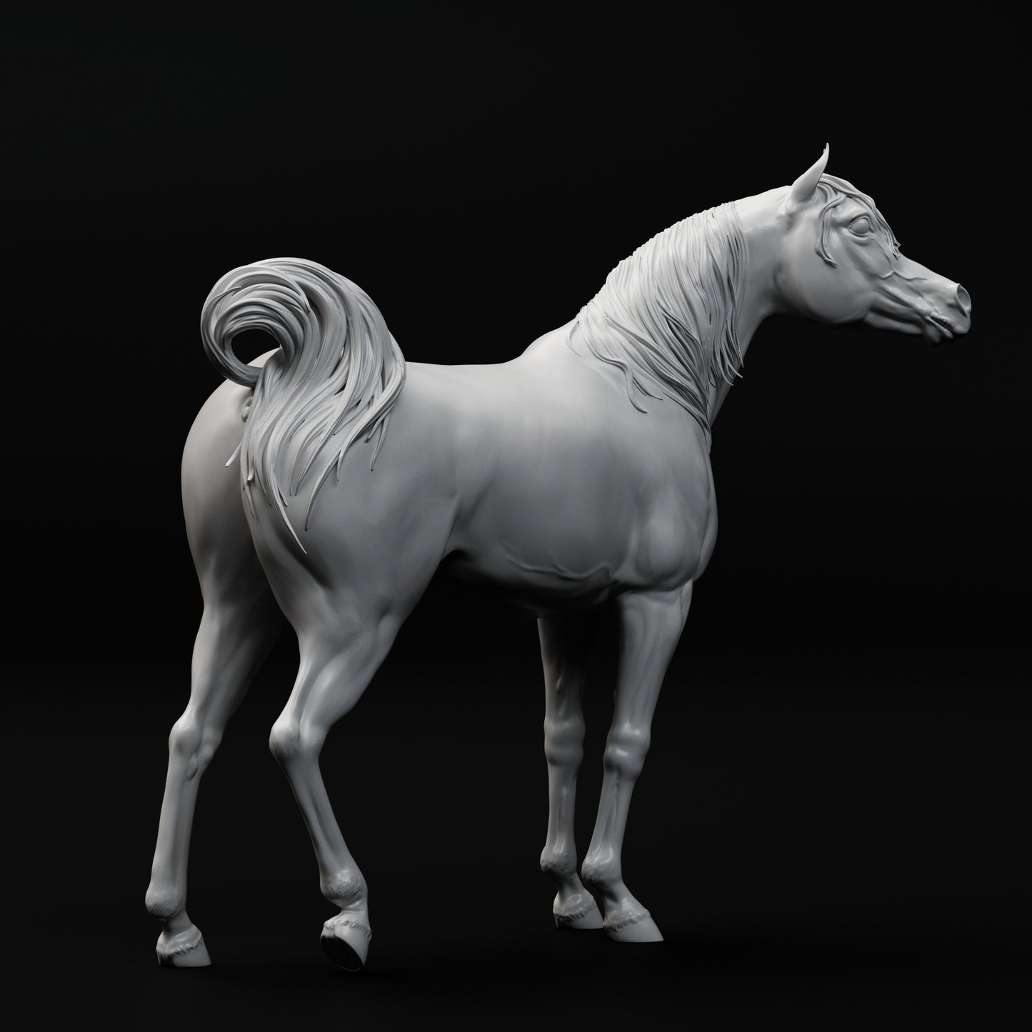 Conner relaxed Arabain Stallion HFH exclusive - White resin ready to prep / paint  LTD EDITION