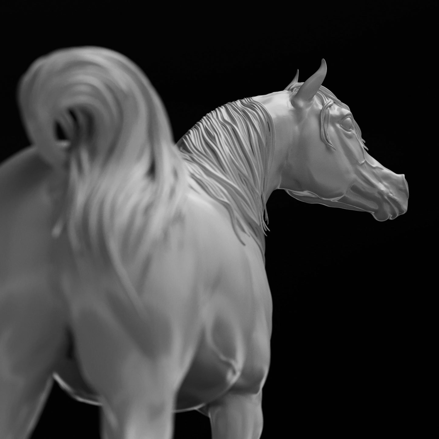 Conner relaxed Arabain Stallion HFH exclusive - White resin ready to prep / paint  LTD EDITION