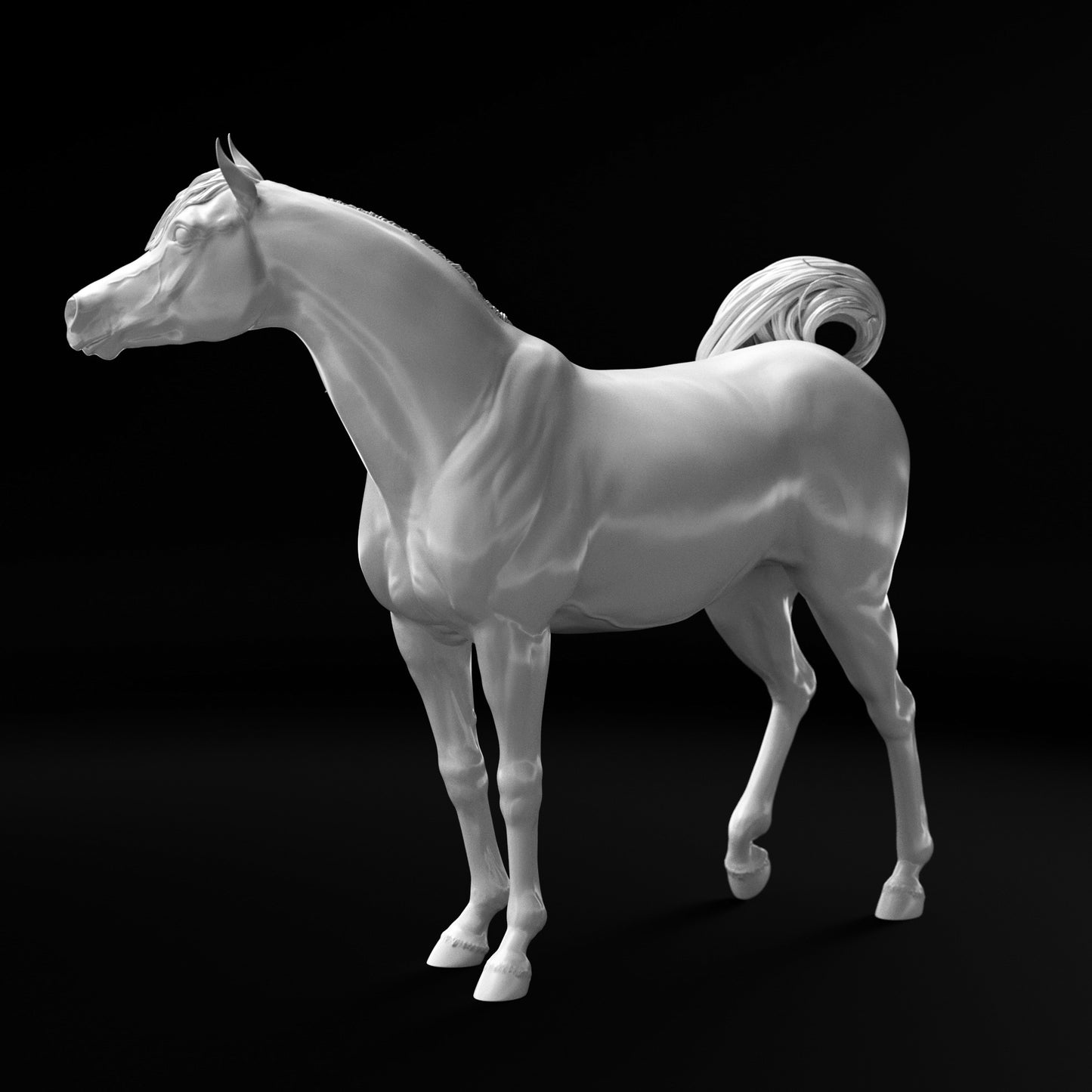 Conner relaxed Arabain Stallion HFH exclusive - White resin ready to prep / paint  LTD EDITION