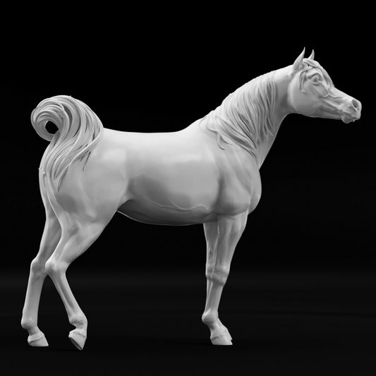 Conner relaxed Arabain Stallion HFH exclusive - White resin ready to prep / paint  LTD EDITION