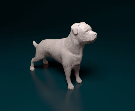 Rottweiler dog artist resin - white resin ready to prep / paint ALL SCALES