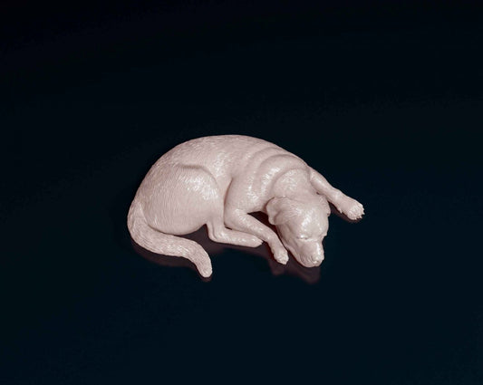 Rottweiler dog artist resin - white resin ready to prep / paint ALL SCALES