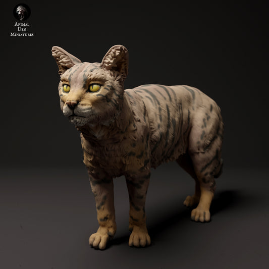 scottish wildcat - white resin - ready to prep / paint