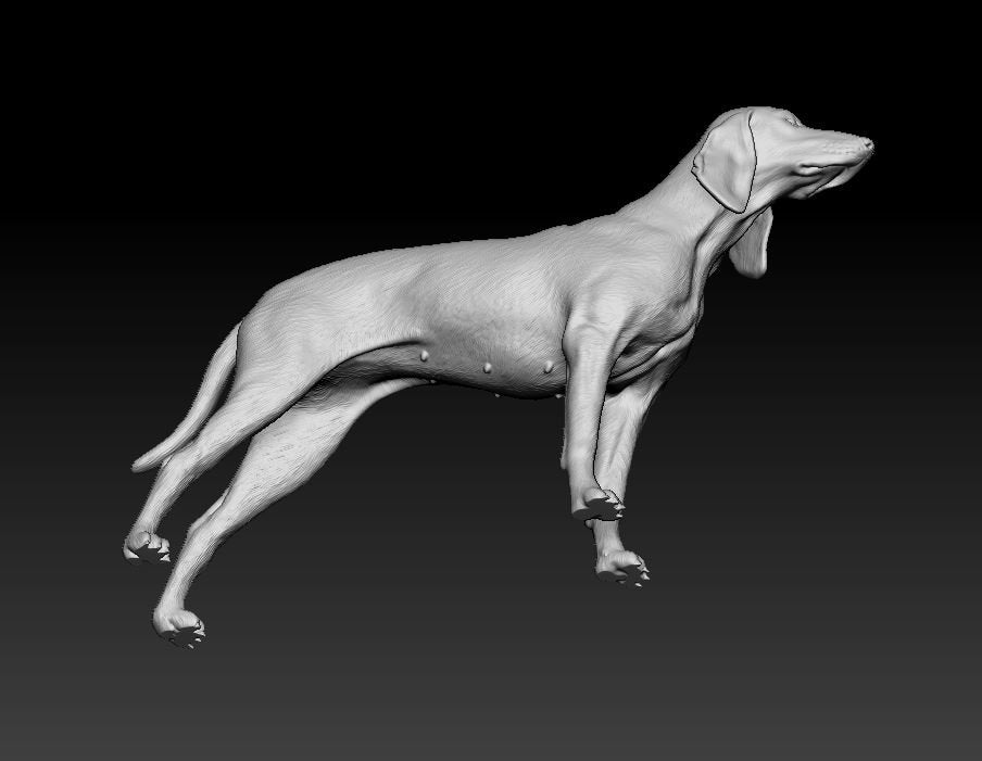 Seguigo italiano dog artist resin - white resin ready to prep / paint ALL SCALES