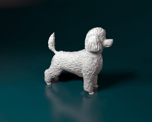 Toy poodle artist resin - white resin ready to prep / paint ALL SCALES