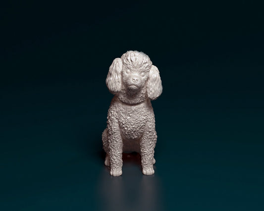 Toy poodle artist resin - white resin ready to prep / paint ALL SCALES