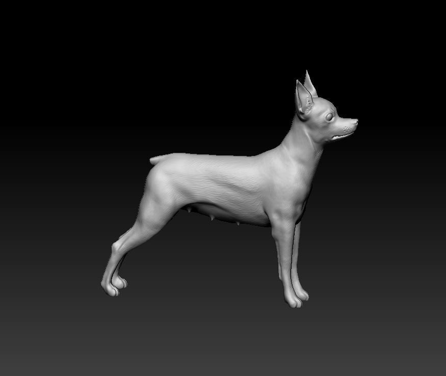 Toy terrier artist resin - white resin ready to prep / paint ALL SCALES
