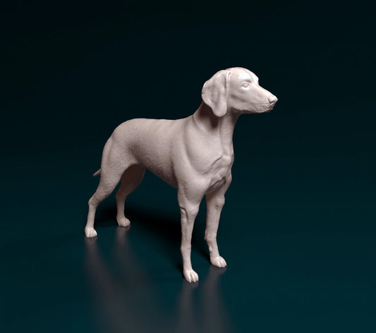 Weimeraner artist resin - white resin ready to prep / paint ALL SCALES