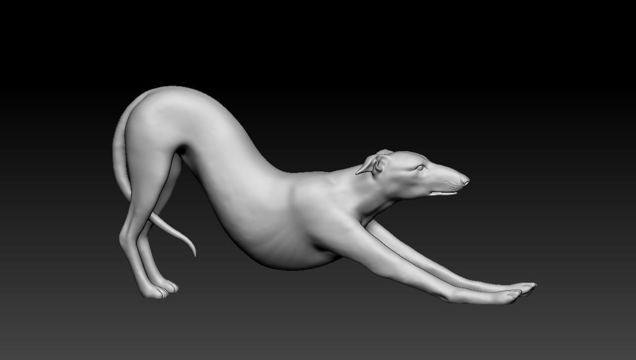 Whippet artist resin - white resin ready to prep / paint ALL SCALES