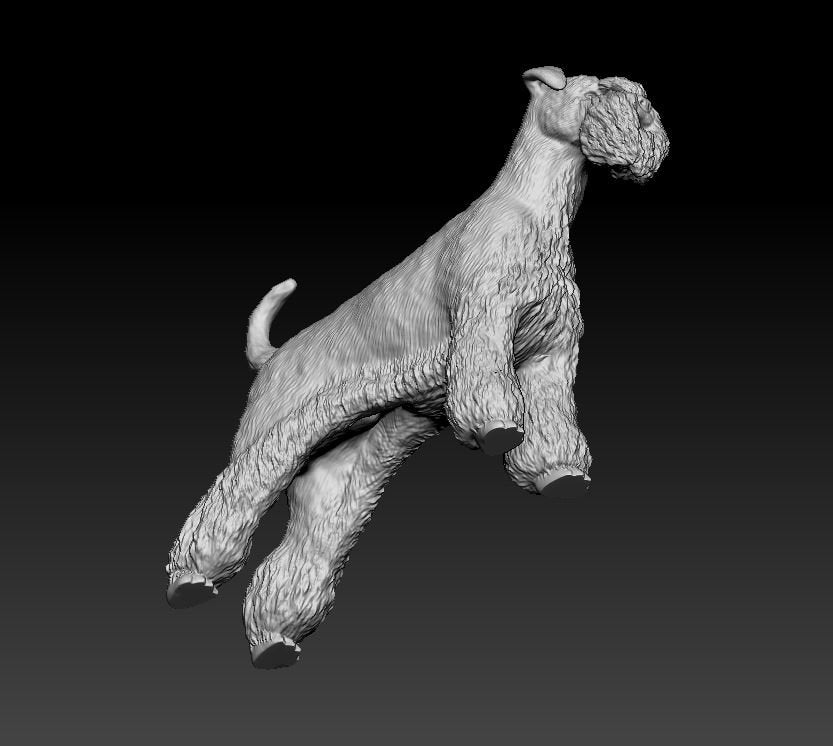 Miniature schnauzer  artist resin - white resin ready to prep / paint ALL SCALES