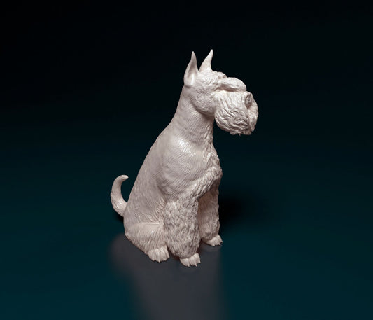 Miniature schnauzer  artist resin - white resin ready to prep / paint ALL SCALES