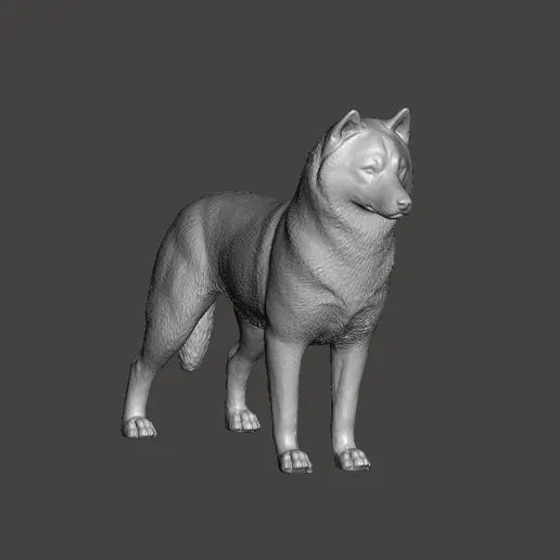 Siberian Husky - white ready to paint
