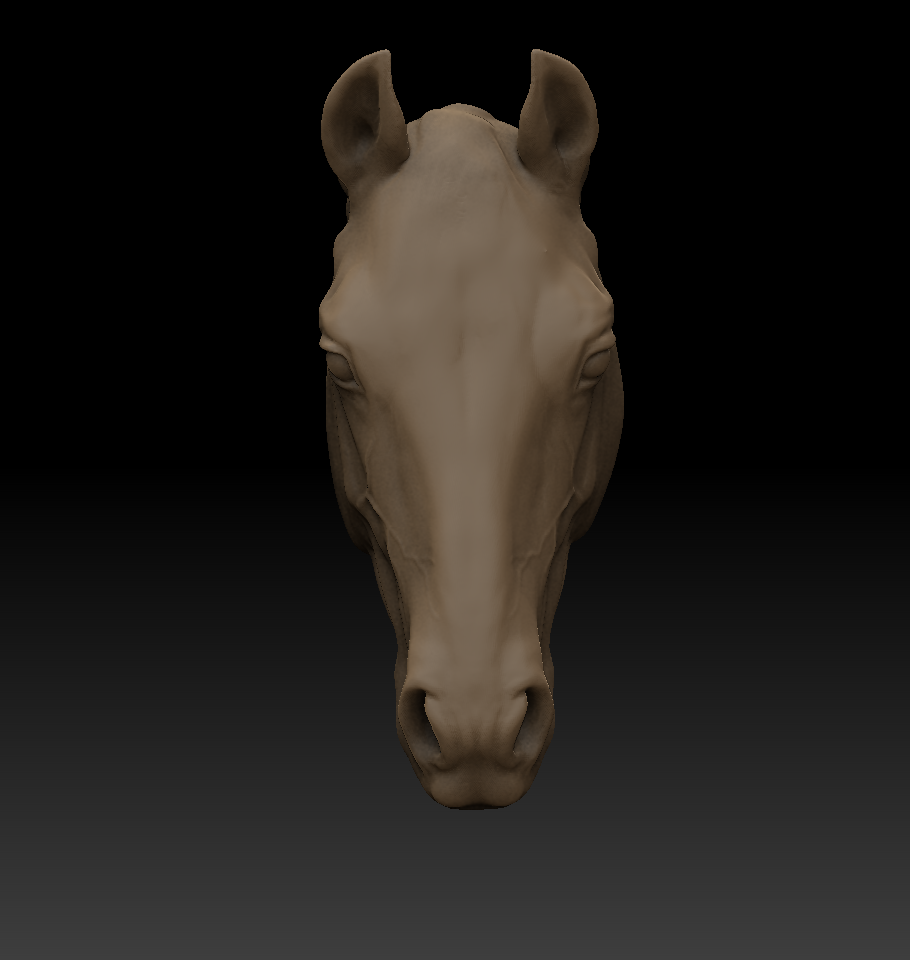 Horse head - quater horse - White resin ready to prep / paint