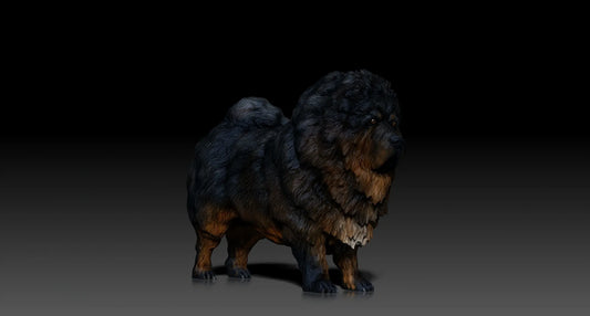 Tibetan Mastiff - white ready to paint