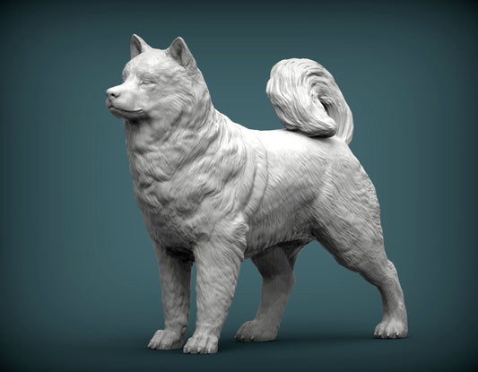 Malamute - white ready to paint