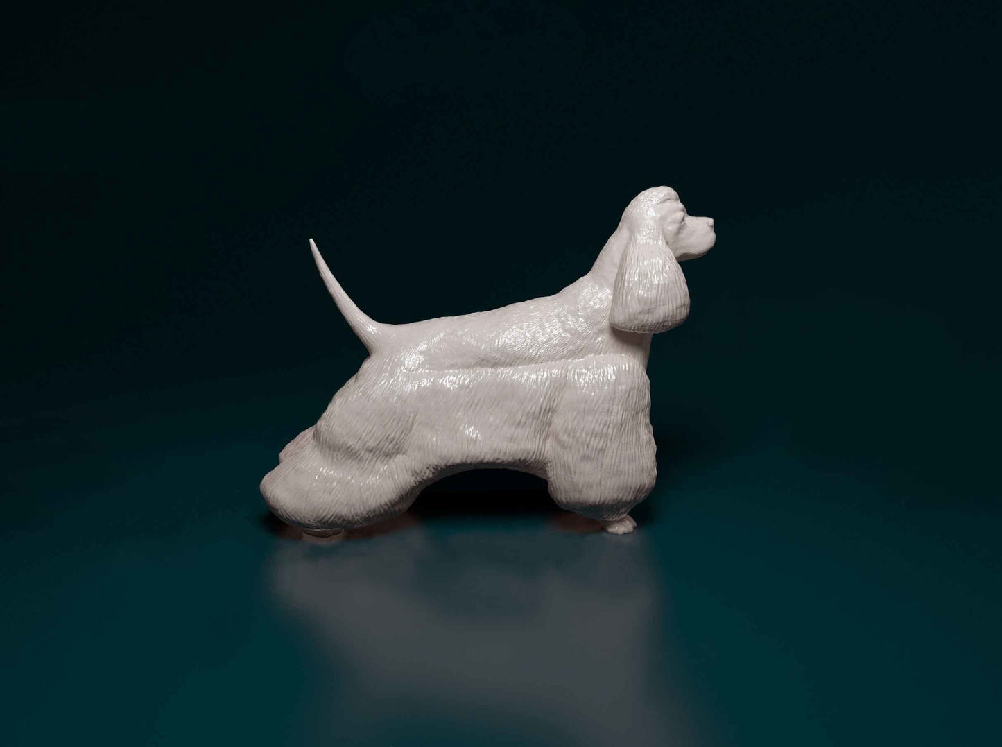 American cocker spanial - white ready to paint