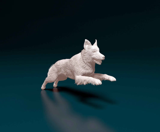 Australian Shepherd running - white ready to paint