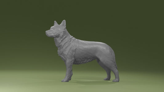 Australian cattle dog - white ready to paint