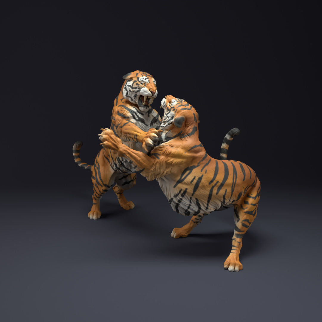 Tigers battling - White ready to paint