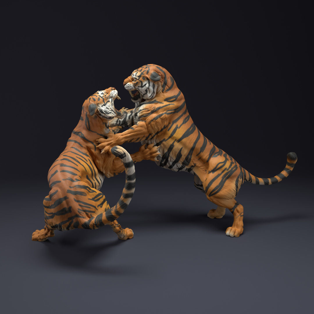 Tigers battling - White ready to paint