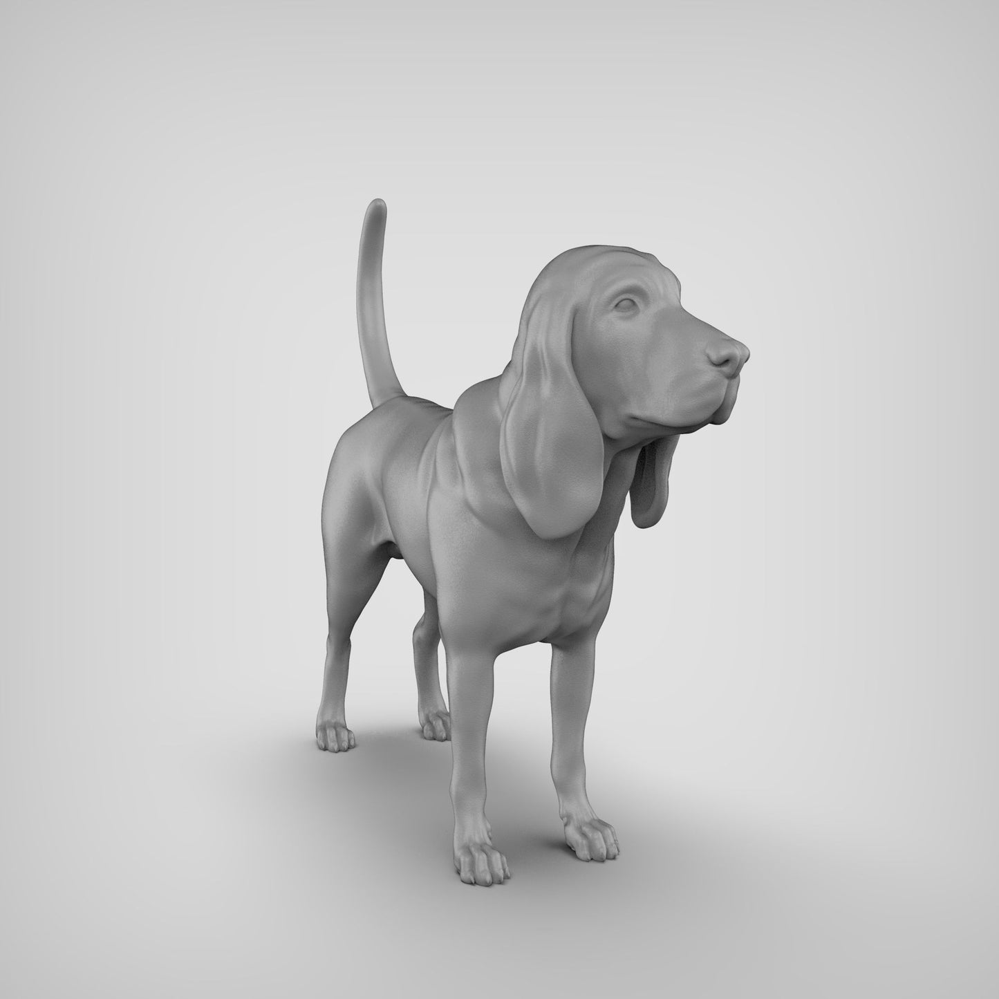 Bloodhound - white ready to paint