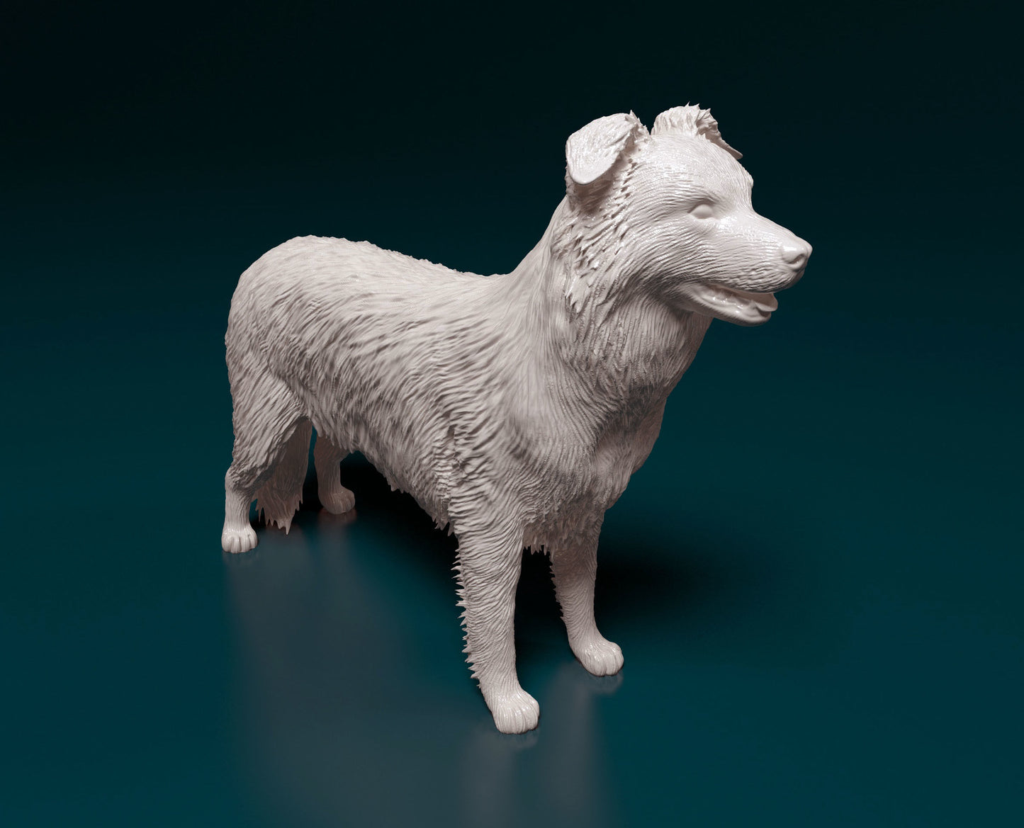 Border collie - white ready to paint