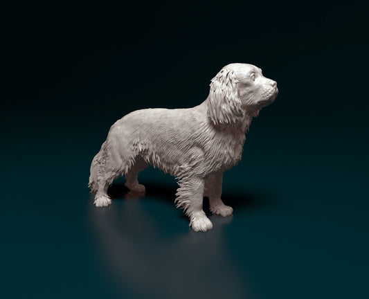 Cavalier king charles standing - white ready to paint