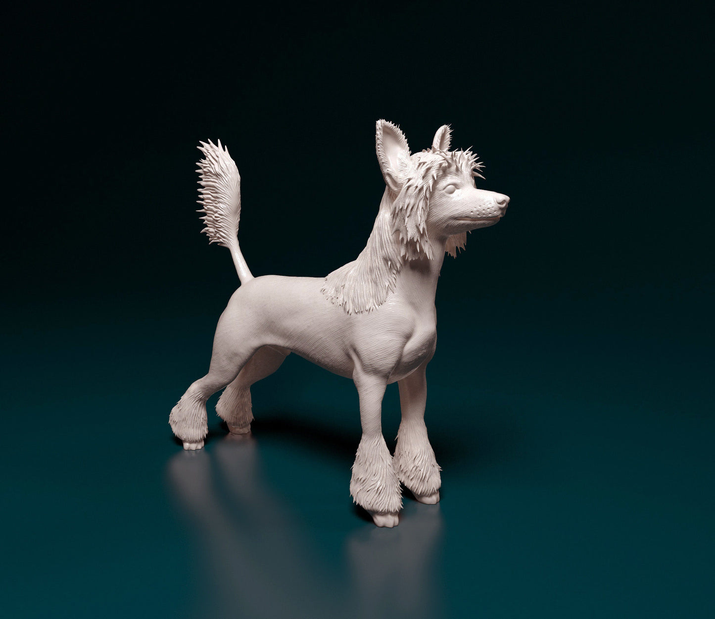 Chinese crested - white ready to paint