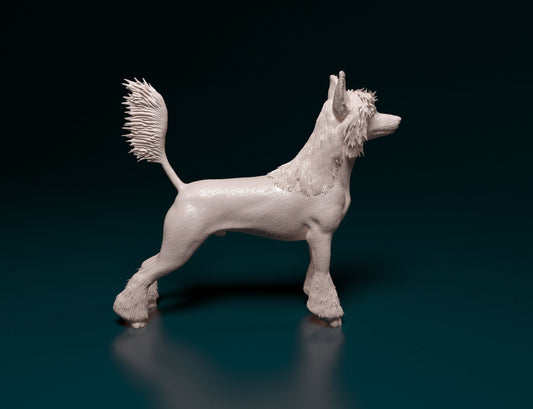Chinese crested - white ready to paint