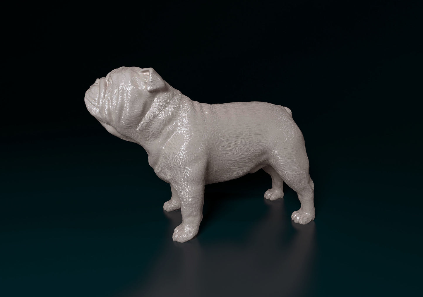 English Bulldog - white ready to paint