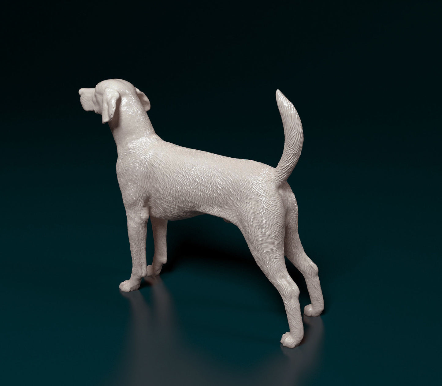 English foxhound - white ready to paint