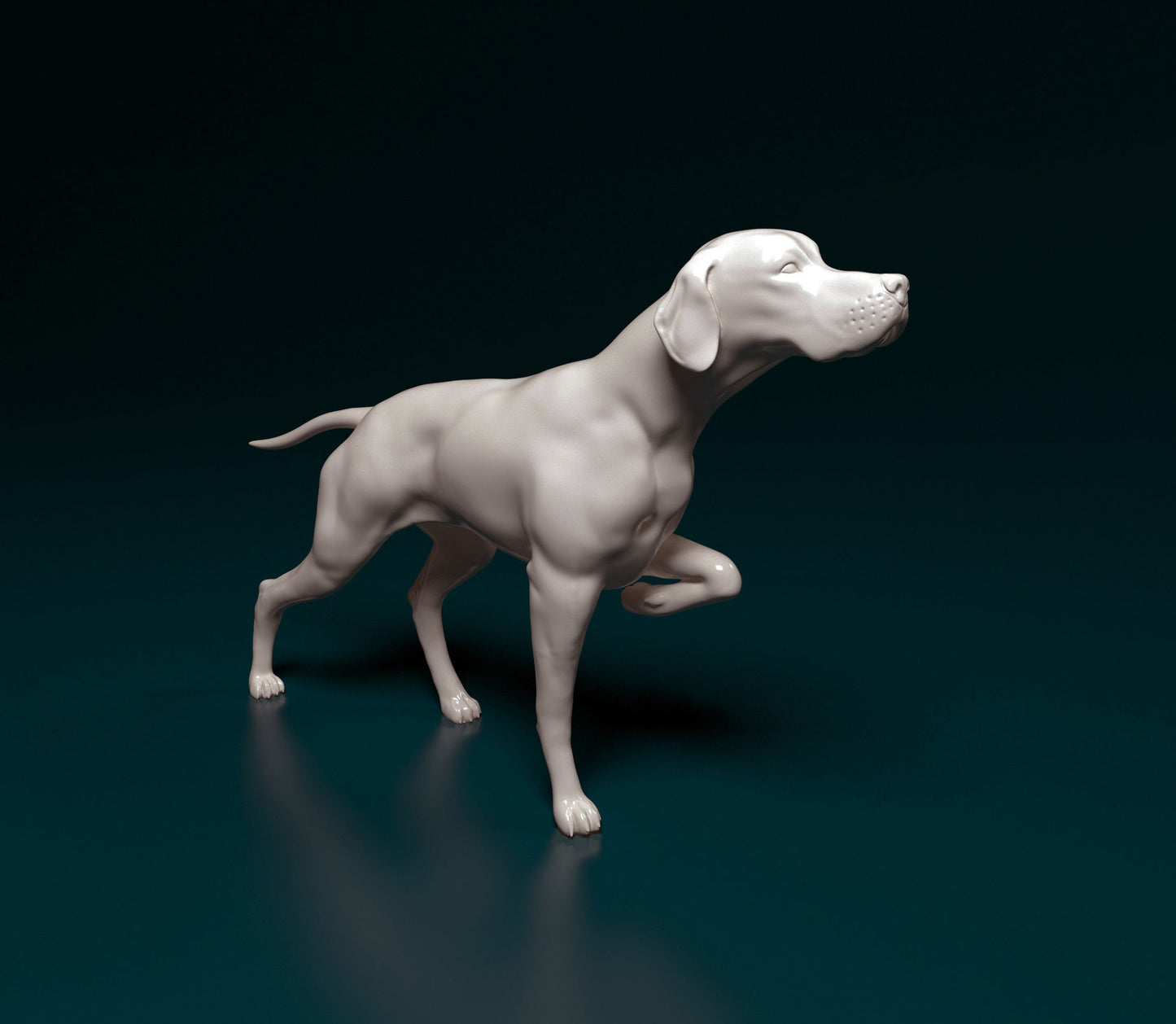 English Pointer - white ready to paint