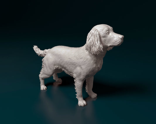English Springer spaniel - white ready to paint