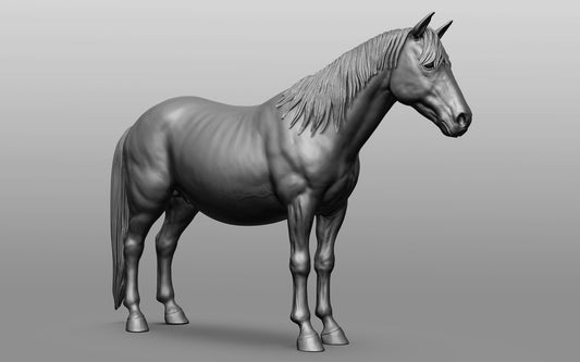 Shetland pony - White resin ready to prep / paint  LTD EDITION - Pre - Order