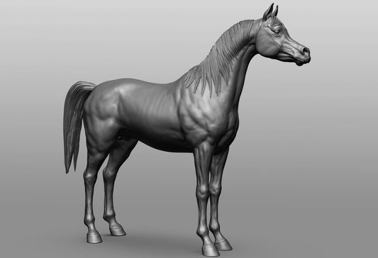 Standing Arabian - White resin ready to prep / paint  LTD EDITION - Pre - Order