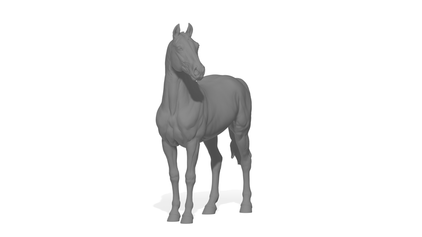 Grade horse / Cob - White resin ready to paint