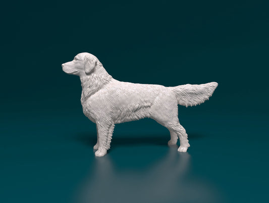 Golden Retriever - white ready to paint