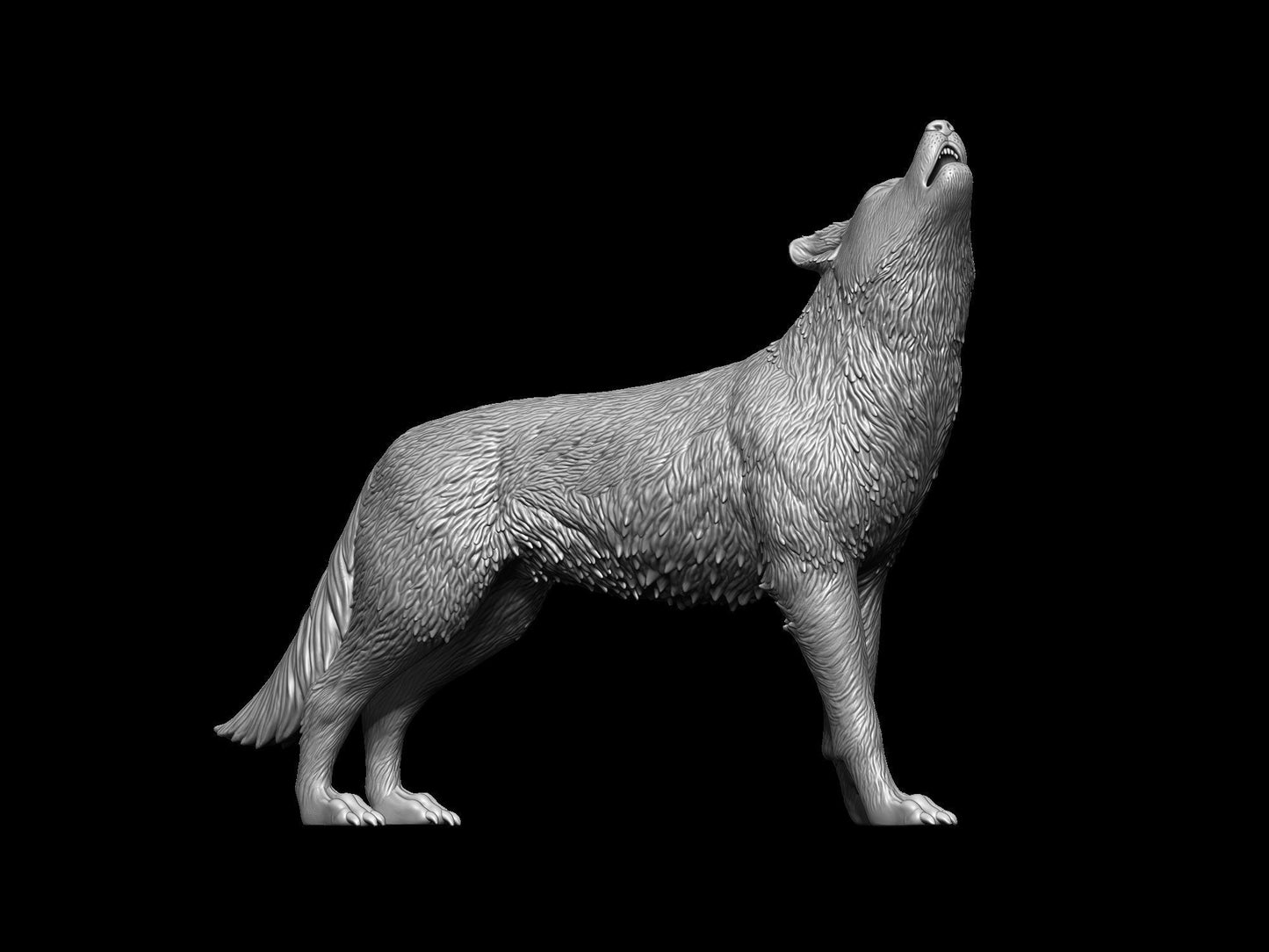 Howling Wolf - White ready to paint