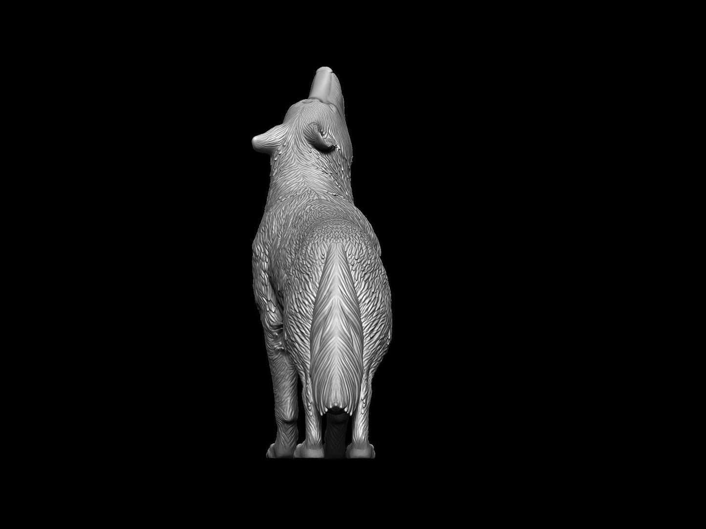Howling Wolf - White ready to paint
