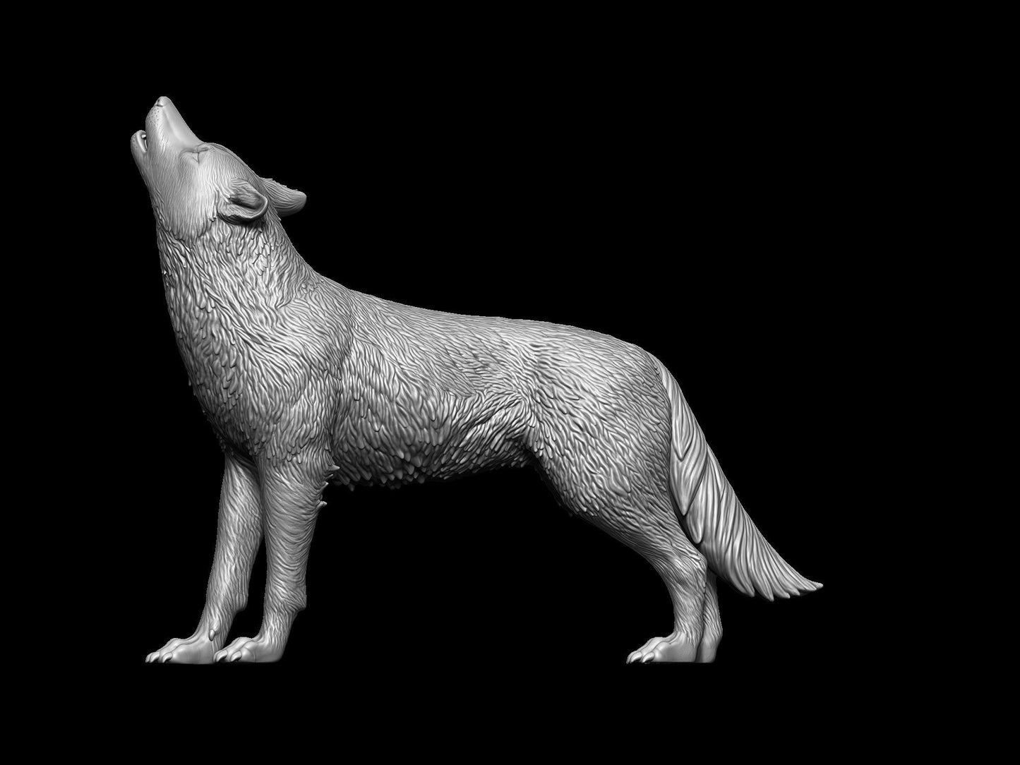 Howling Wolf - White ready to paint