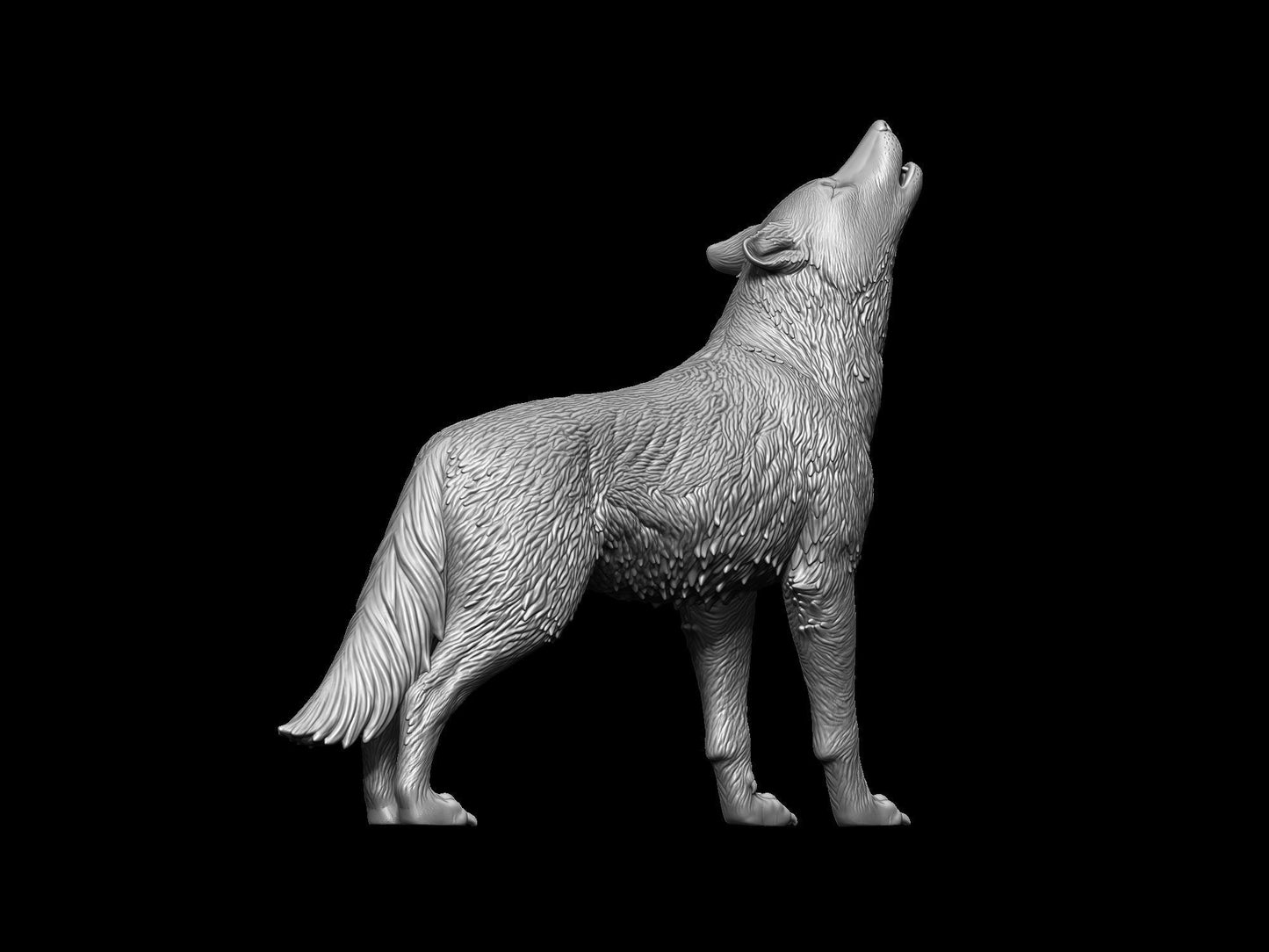 Howling Wolf - White ready to paint