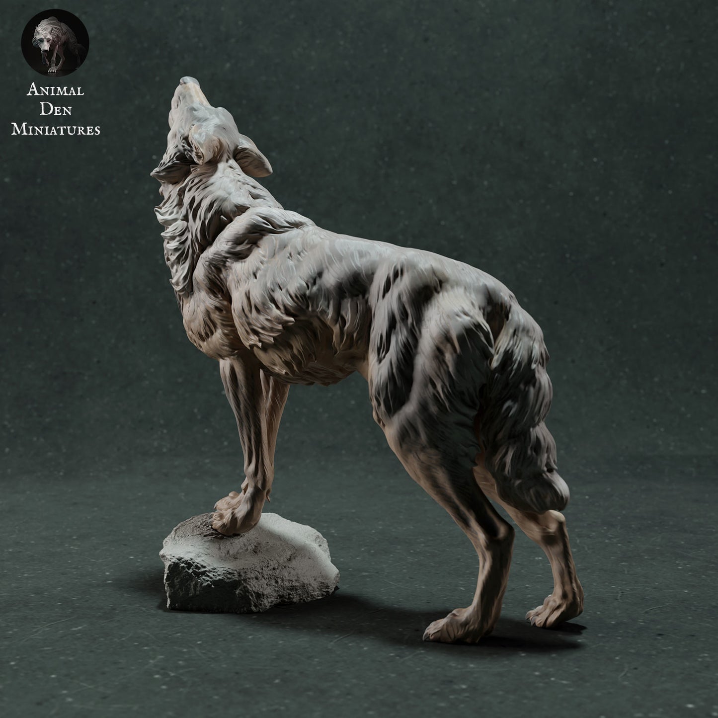 Iberian wolf howling - White ready to paint