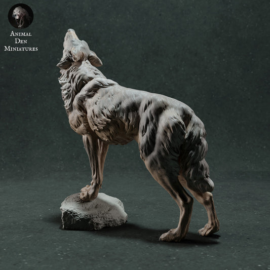 Iberian wolf howling - White ready to paint