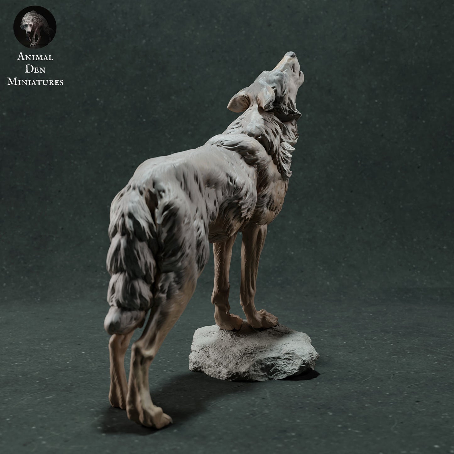 Iberian wolf howling - White ready to paint