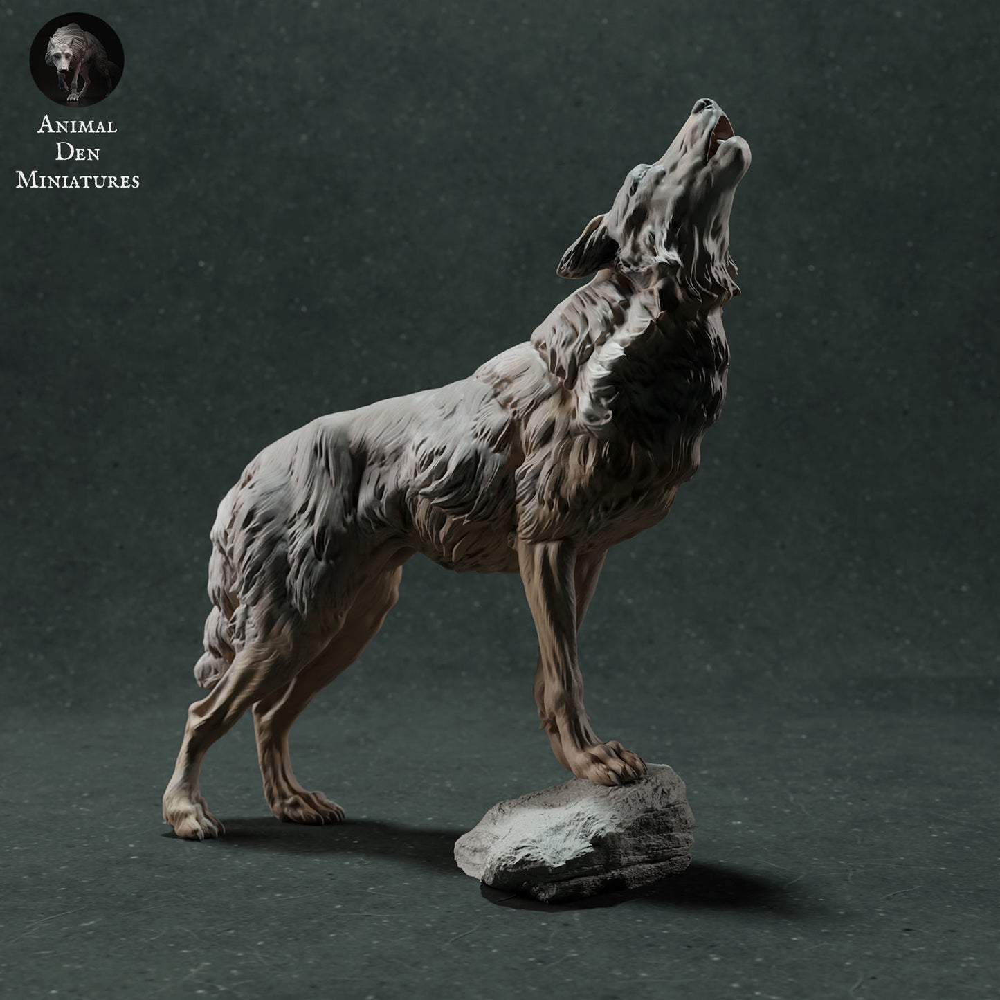 Iberian wolf howling - White ready to paint