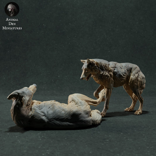 Iberian wolf pair - White ready to paint