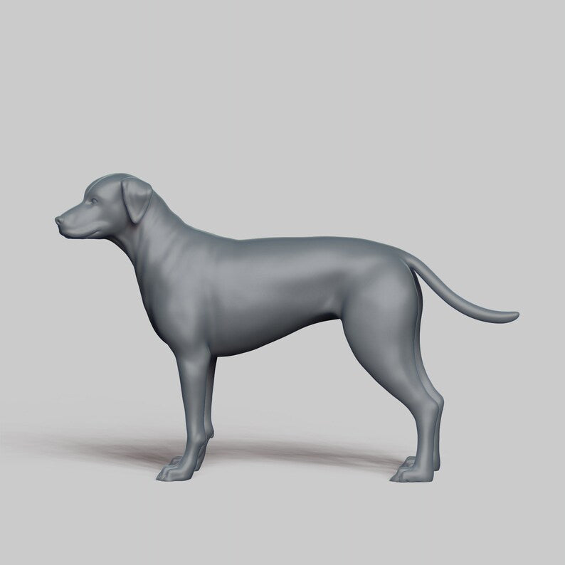 Dalmatian - white ready to paint