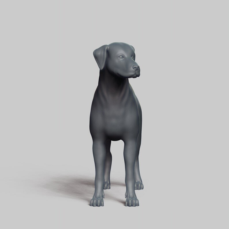 Dalmatian - white ready to paint